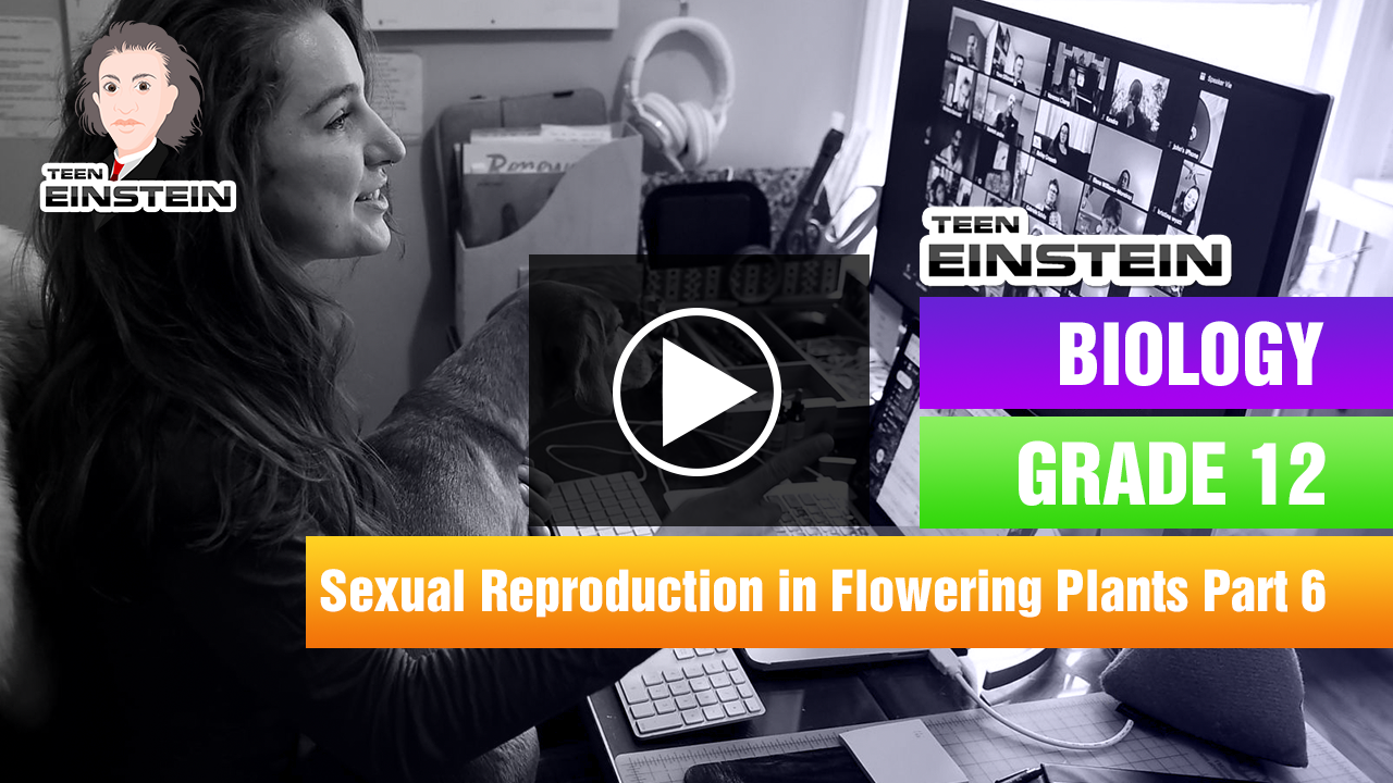 6. Pollination Sexual Reproduction in Flowering Plants 6. Pollination